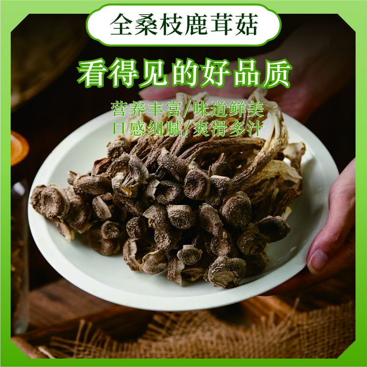 全桑枝鹿茸菇，美味鲜香，可炒可炖，可凉拌，好吃不过桑枝鹿茸菇