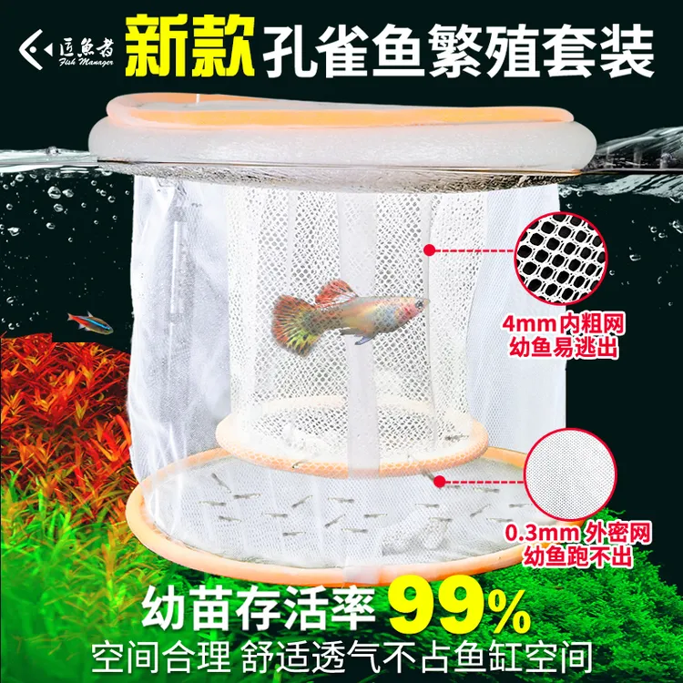 新款孔雀鱼繁殖盒生小鱼漂浮隔离网下崽分离器鱼缸母鱼孵化繁殖网