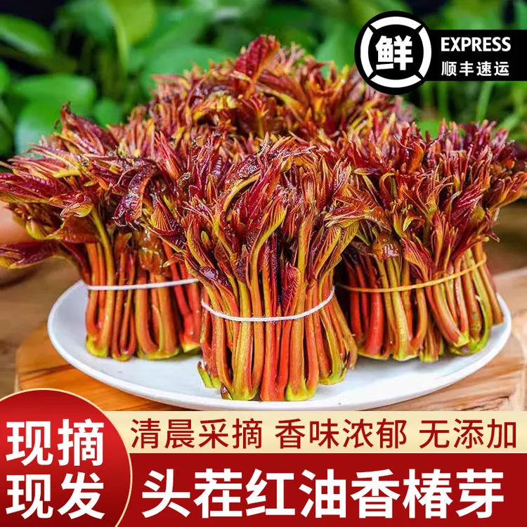 （顺丰包邮）新鲜采摘香椿芽