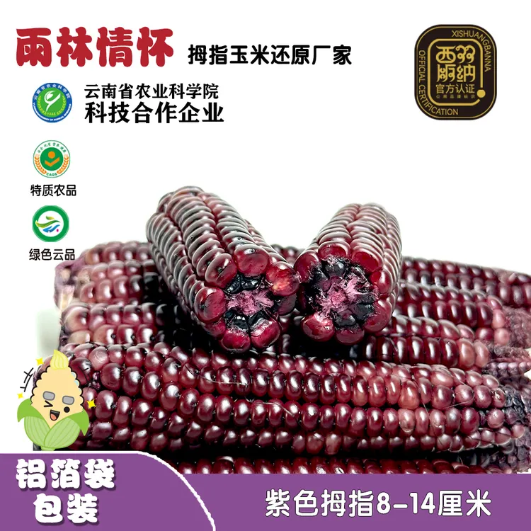 雨林情怀云南紫糯拇指小玉米清甜香糯即食代餐真空包装拇指玉米