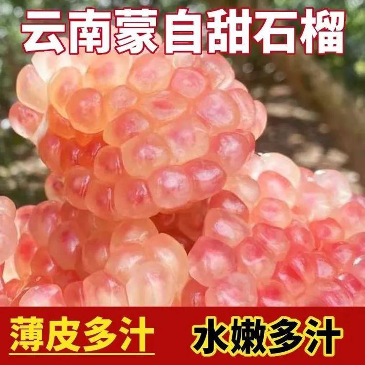 正宗云南蒙自薄皮老品种甜石榴新鲜采摘爆汁水果