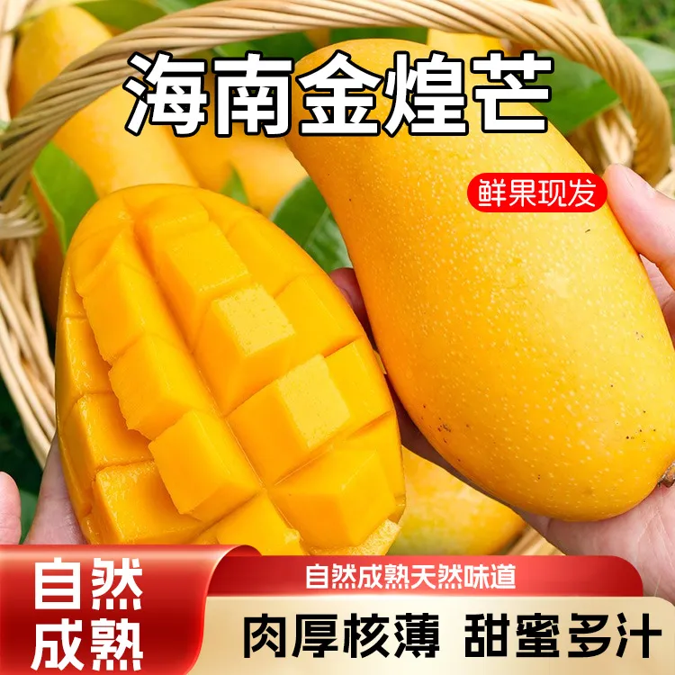 【催熟食用】海南金煌芒新鲜应季热带水果香甜多汁