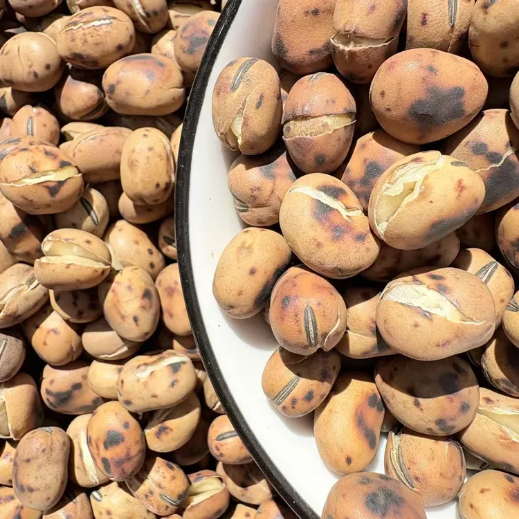 原味花大豆  甘肃特产小锅碳火炒蚕豆   口感较为偏软潮湿