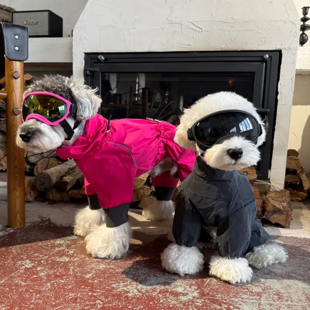 狗狗防雨四脚衣雪纳瑞比熊泰迪柴犬西高地宠物衣服雨衣