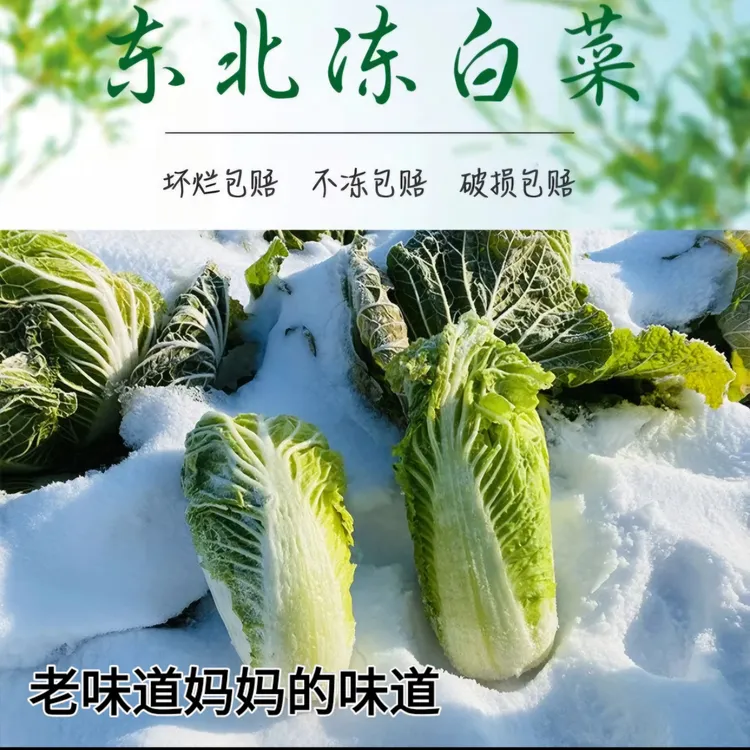 东北冻白菜心自然冷冻（整颗、切两半）发货新鲜当季火锅炖煮蘸酱菜