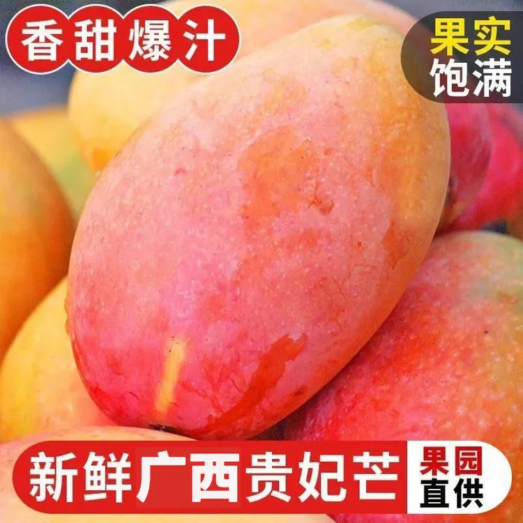 【阳子专属】广西贵妃芒果应季新鲜水果当季薄皮孕妇甜心芒整箱包邮
