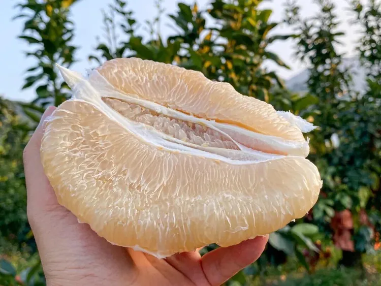【5斤平和老树蜜柚】现摘现发正宗平和蜜柚皮薄肉厚超级甜中秋送礼