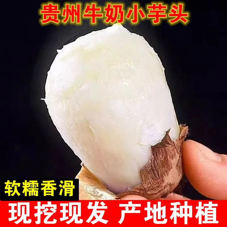 牛奶小芋头贵州高山现挖新鲜毛芋头农家蔬菜软糯粉香芋艿小芋仔
