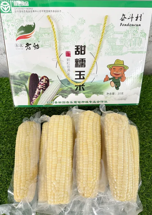 奋斗村白色甜糯鲜食玉米8棒装