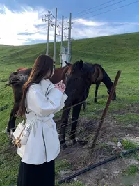 高个子季穿搭收腰风衣外套女短款2025秋季新款韩版大码高级感大衣