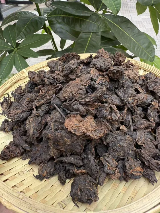 云南普洱熟茶老茶头樟香耐泡醇厚优质口粮