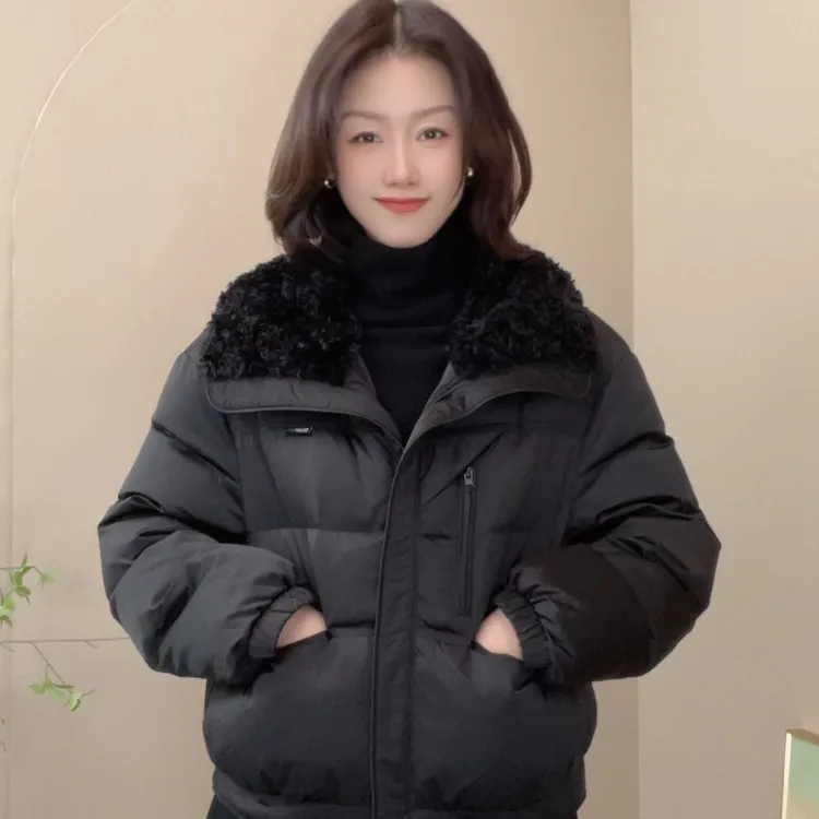 5520冬季保暖纯色百搭设计感长袖外套气质立领防风短外套上衣