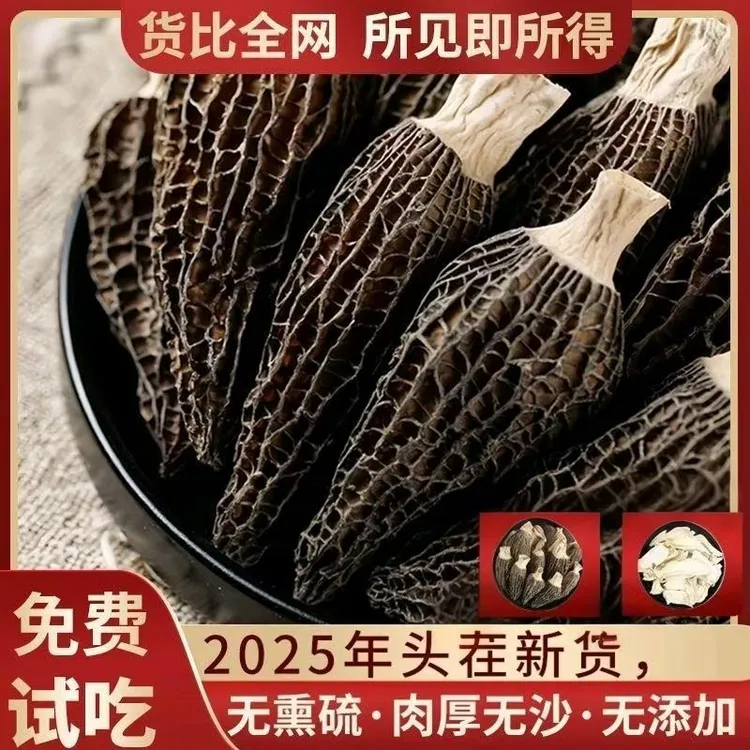 四川高山头茬厚肉羊肚菌干货精选煲汤滋补食材云南