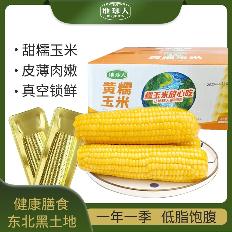 【试吃2根】东北黄糯玉米真空锁鲜8支