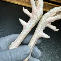 文玩鸡爪骨手把件（一对 处理好十天左右发货）