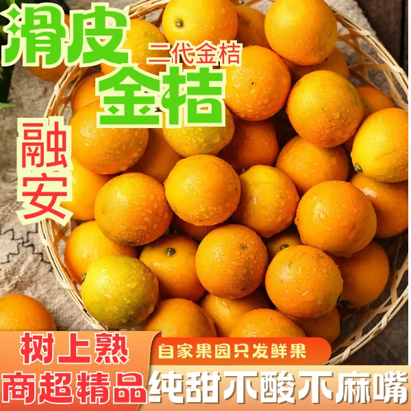 【郭妞妞专属】融安二代脆皮滑皮金桔爆甜非脆蜜