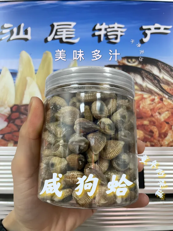 汕尾咸狗蚶咸九蛤传统海味古法腌制咸美鲜香下饭配粥