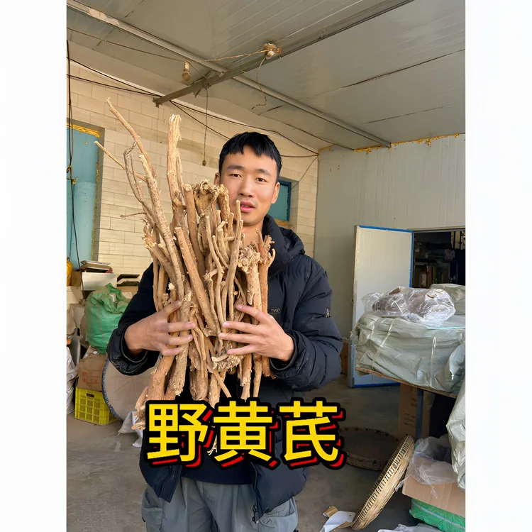 【高端野黄芪】甘肃深山采挖10年以上多年生黄芪非种植无硫新货包邮