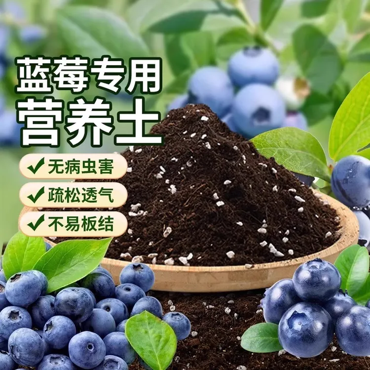 蓝莓专用营养土蓝莓树苗盆栽酸性基质土壤月季花栀子花山茶通用土