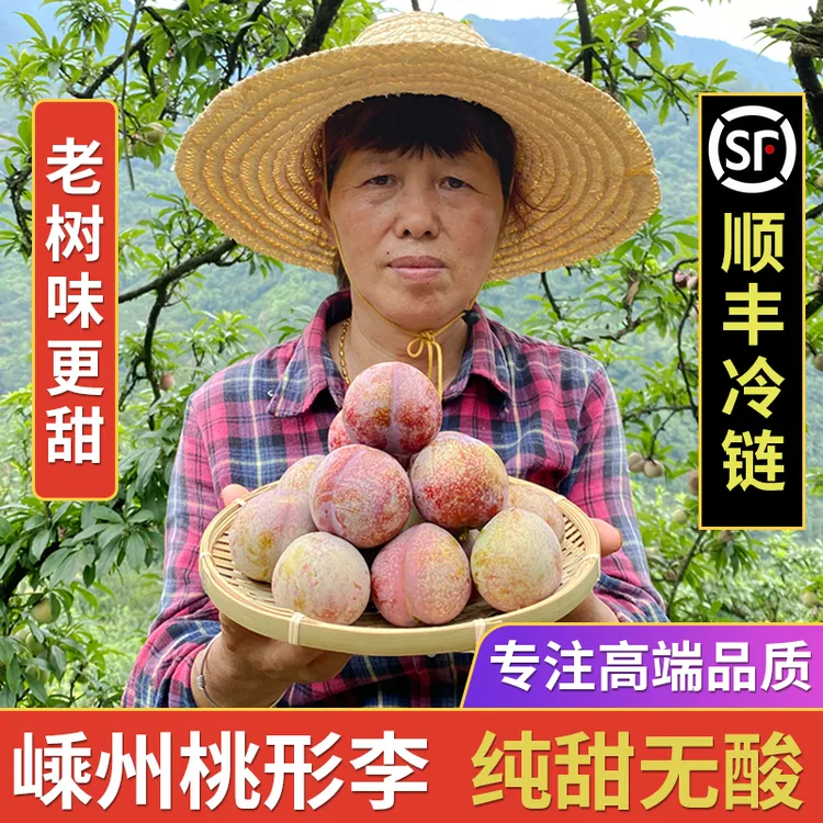 村长夫人正宗嵊州桃形李子水果新鲜现摘浙江红心李大果礼盒装顺丰