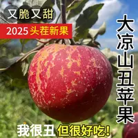 D1【金秋丰收季次日达】2025年头茬正宗大凉山盐源丑苹果高山现摘新鲜脆甜多汁四川省