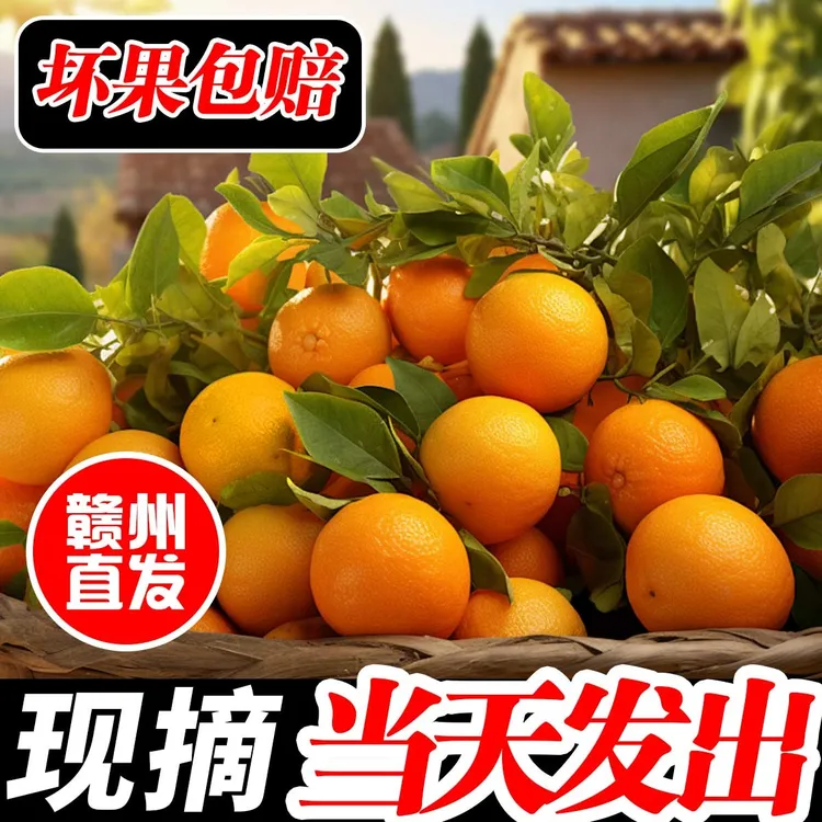 赣南脐橙包邮新鲜现摘现发赣州橙子产地直发当季水果江西赣州脐橙