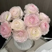 【杨鹏鲜花】樱花浅粉 洋牡丹（养护找客服不保水生花苞发货）