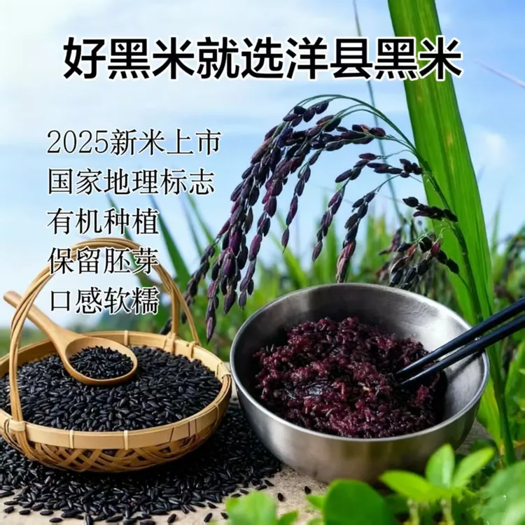 正宗洋县有机黑米黑香米新米五谷杂粮粗粮米黑糯米糙米煮粥胚芽米
