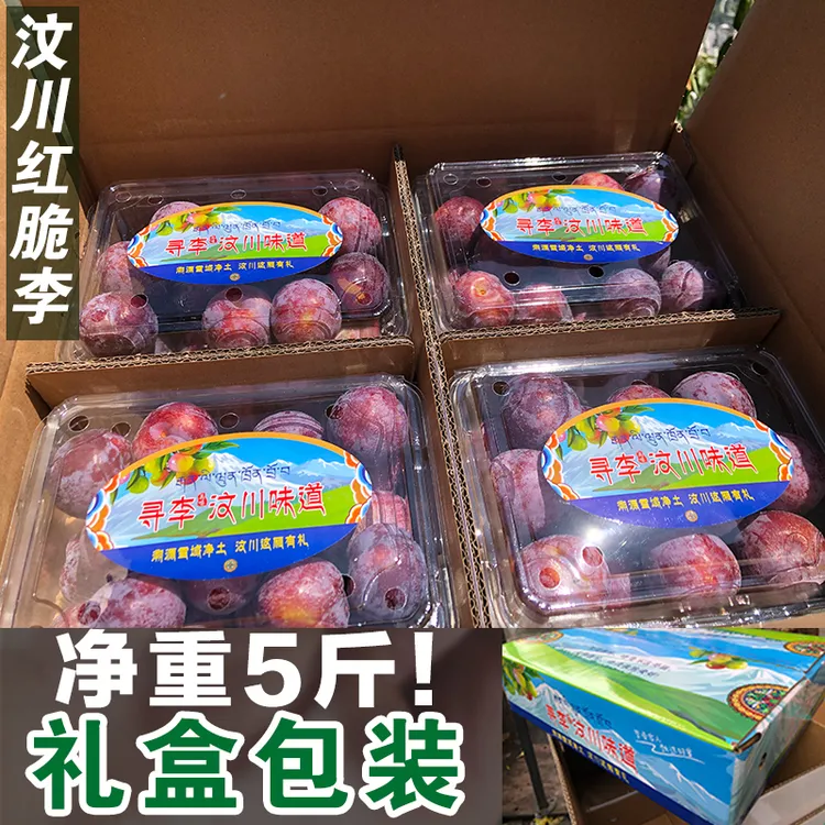 特级正宗四川汶川红脆李茂县空心脱骨脆红李阿坝脆李子5斤包邮