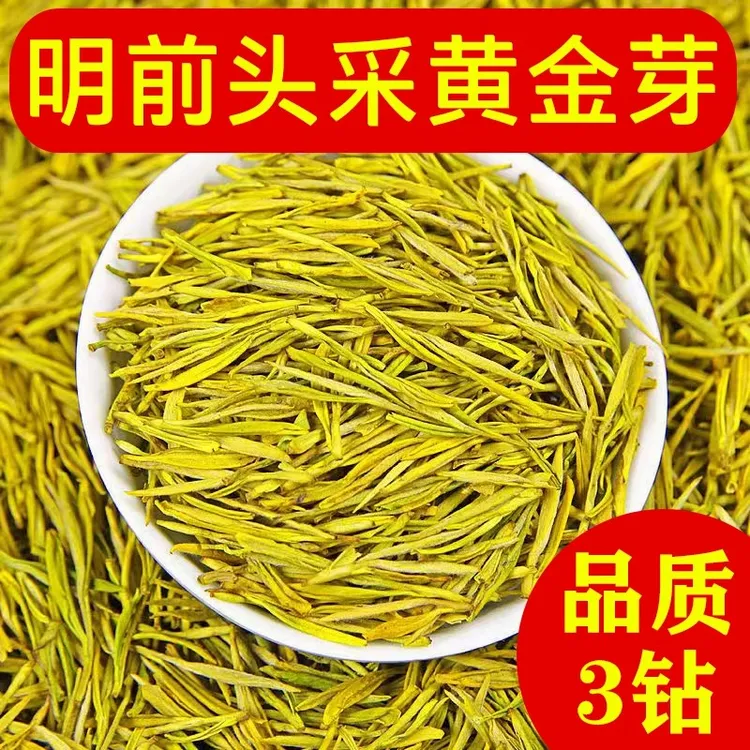 2025新茶黄金芽【3钻】明前高山花香豆香浓香鲜甜罐装礼盒装
