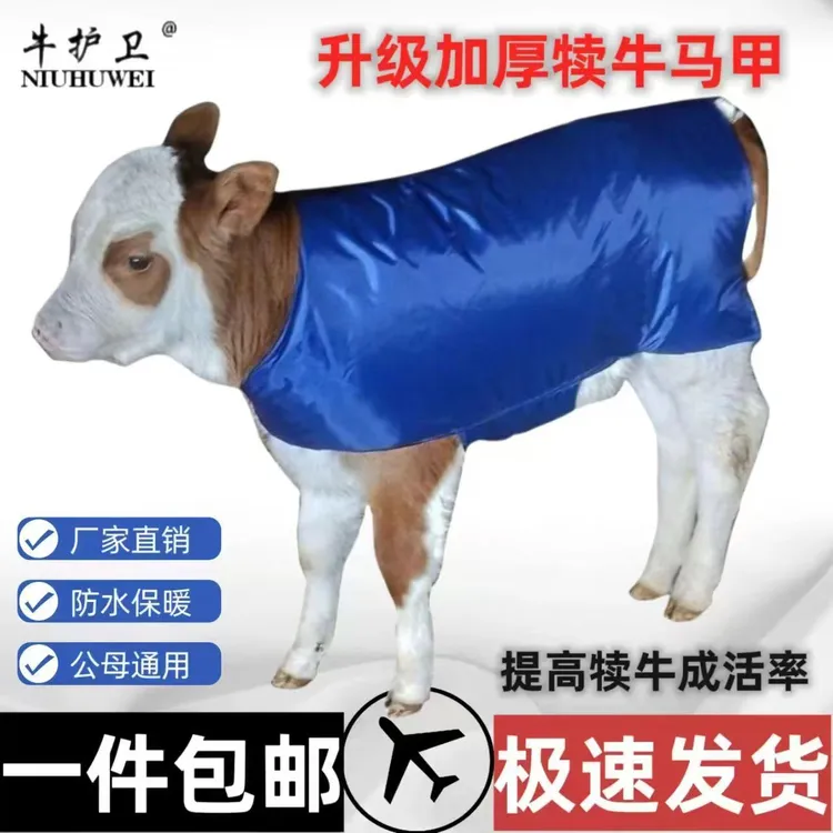 特厚防水马甲保暖外套牛犊衣服小牛防寒裹腹防寒衣牛犊子马甲新生