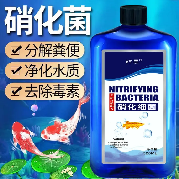 鱼缸净水硝化细菌鱼缸水浑浊鱼缸用品水族用品空气缸硝化活菌养鱼