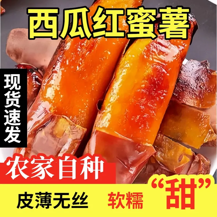 河南西瓜红蜜薯现货速发烤薯店同款软糯香甜流油地瓜番薯农家自种