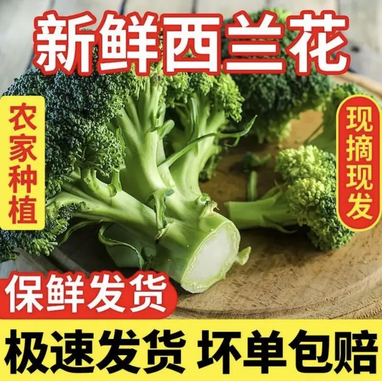 【普通快递】西兰花现砍现发农家自种西兰花露天种植泡沫箱加冰发货