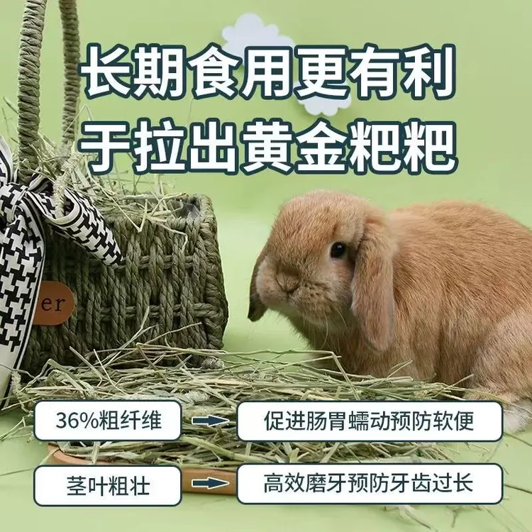 美国进口赛级晒干一番提摩西草 半杆半叶 龙猫荷兰猪磨牙草