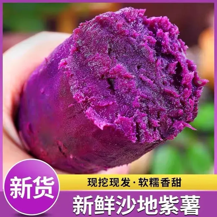 【沙地紫薯】正宗紫罗兰紫薯现挖地瓜香甜农家自种蜜薯3/5/9斤