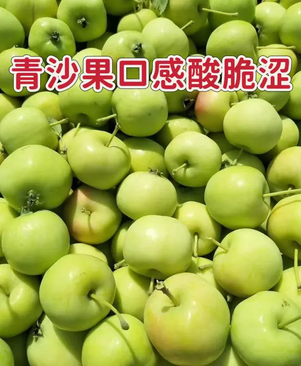 东北沙果黄太平纯沙果脆沙果海棠果酸甜开胃多省包邮青沙果