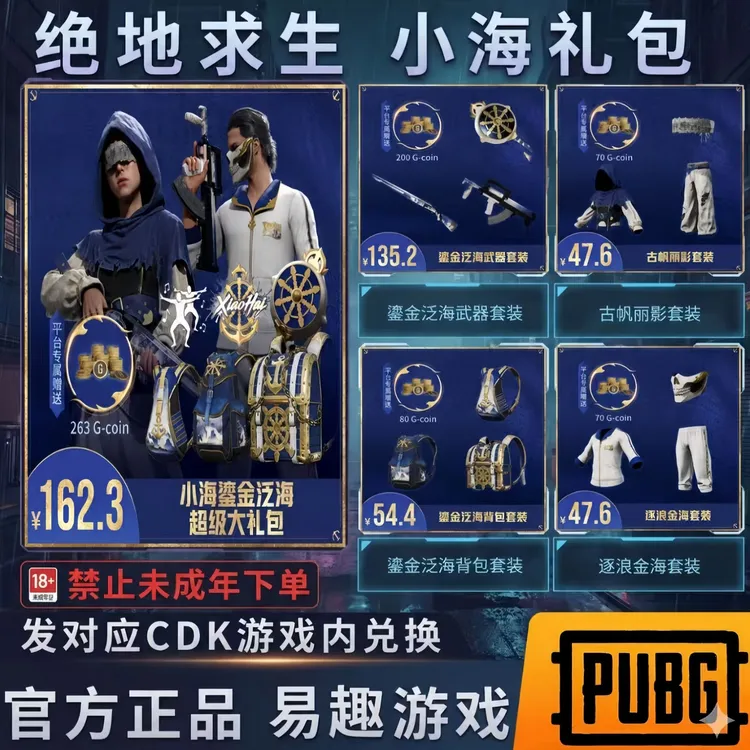 绝地求生PUBG小海鎏金泛海超级大礼包皮肤柏林面具白运动