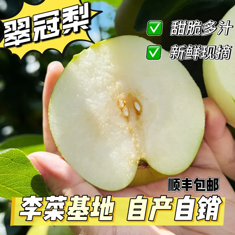 新鲜现摘翠冠梨甜脆多汁应季水果脆甜爽口