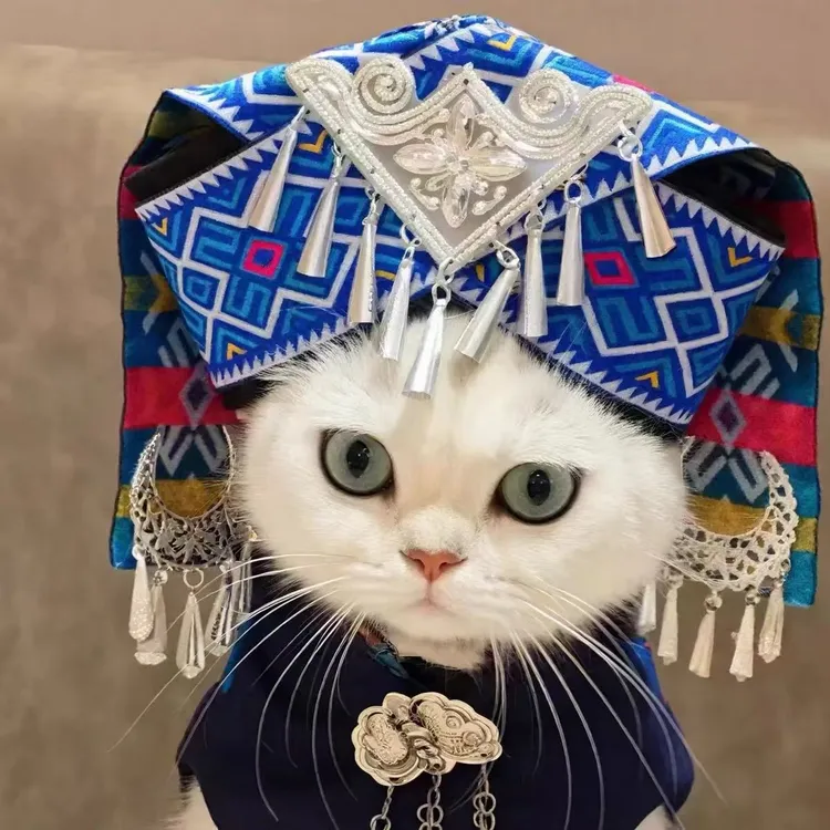 壮族猫咪服饰翠花同款少数民族宠物衣服广西狗狗猫咪服装瑶族苗族