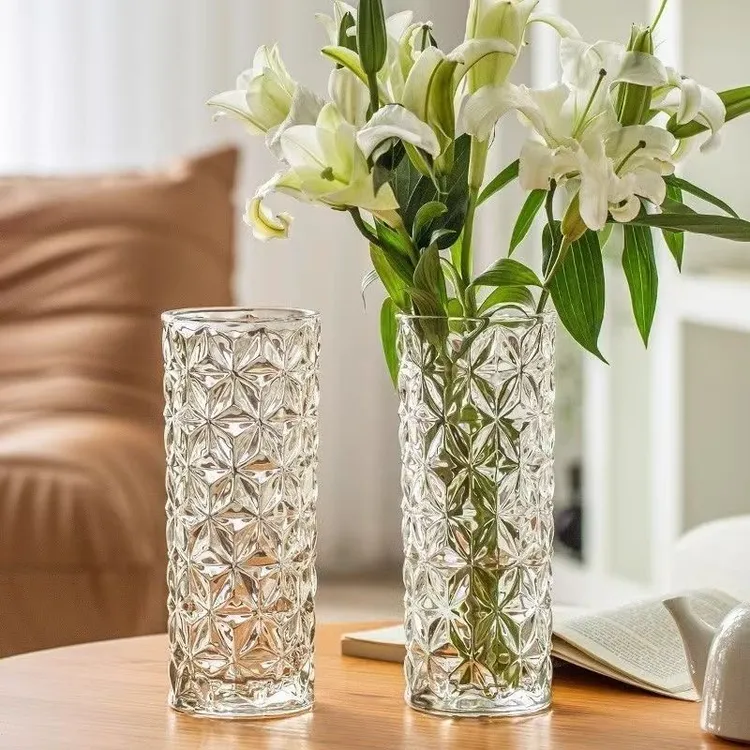 加厚花瓶玻璃透明水养富贵竹玫瑰百合干花插花摆件大号客厅北欧瓶
