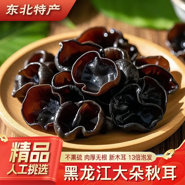 【大朵秋耳】2025年干货秋木耳肉厚无根木耳正宗东北黑木耳500g