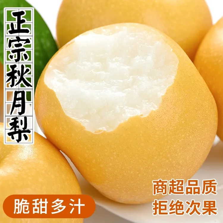 正宗山东莱阳秋月梨新鲜水果当季现摘莱阳梨子大果冰糖梨整箱包邮