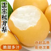 山东秋月梨脆甜爆汁冰糖羊脂梨新鲜水果莱阳梨子当季整箱大礼盒