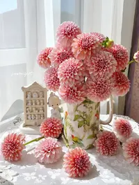 婵之语稀有小众品种 奶油桃子 大丽花鲜切花