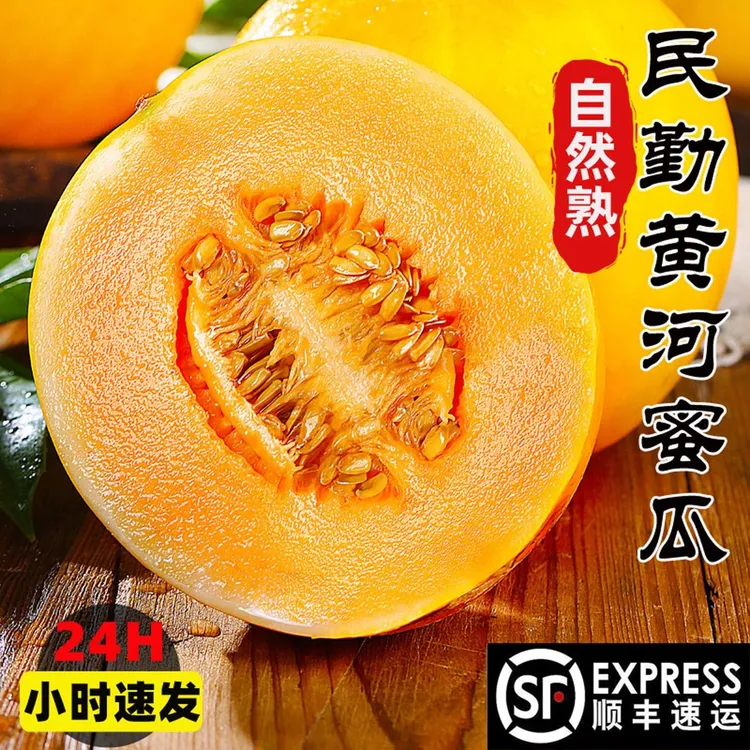 东访甄选现摘甘肃民勤黄河蜜瓜新鲜水果整箱当季沙漠头茬金红宝哈