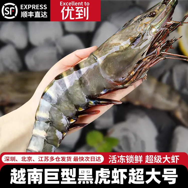 【手臂大黑虎虾】越南特大黑虎虾 超大黑虎虾 鲜活速冻大虾肉质饱满