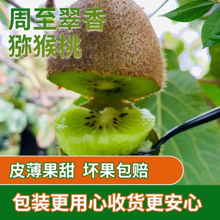 新鲜当季陕西翠香猕猴桃皮薄果甜汁多3斤家庭装上班族榨汁猕猴桃