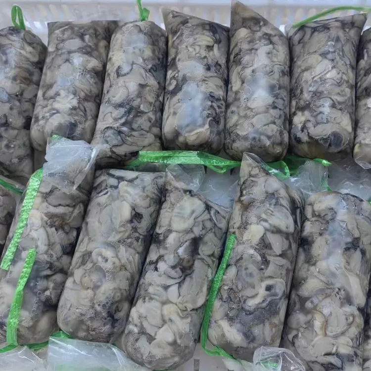 莆田本地石头海蛎