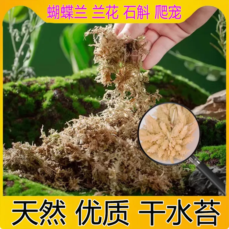 [优质干水苔] 蝴蝶兰专用植料兰科多肉营养土干苔藓乌龟垫材